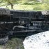 dscn0571_121x71